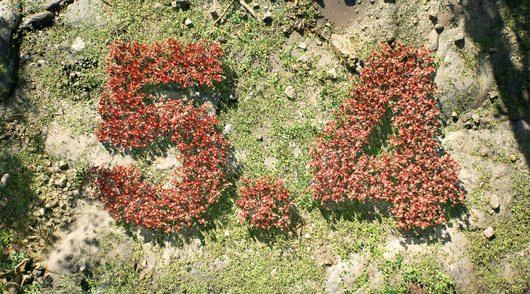 The number 5.4 formed from red plants on a rocky, grass-covered surface.